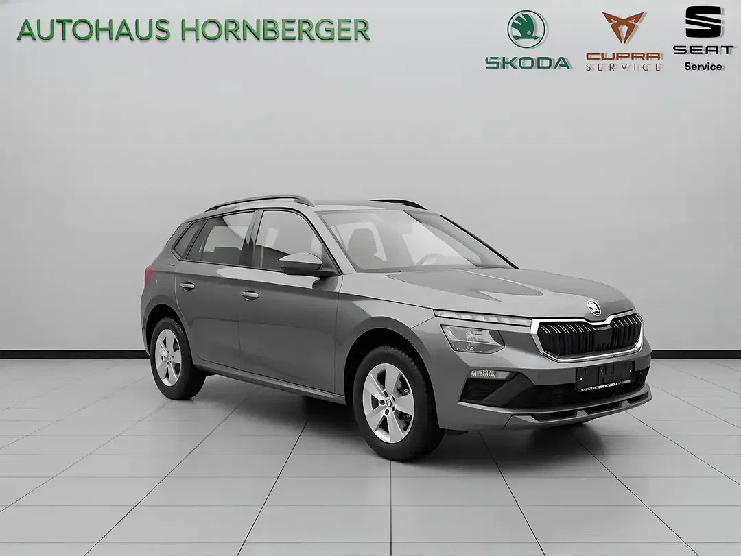Skoda Kamiq - Thumbnail 4