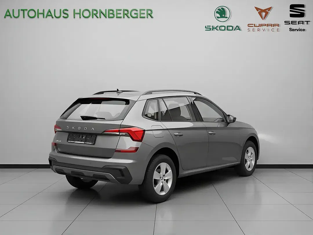 Skoda Kamiq - Thumbnail 5