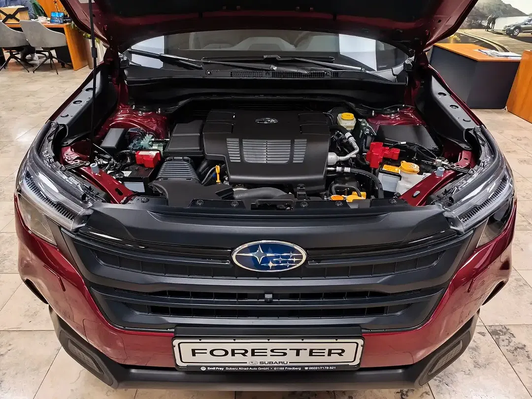 Subaru Forester - Thumbnail 14