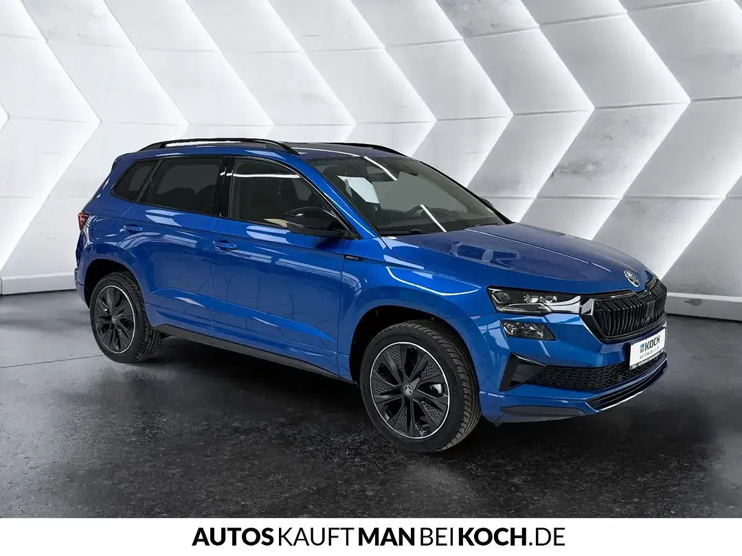 Skoda Karoq - Thumbnail 4