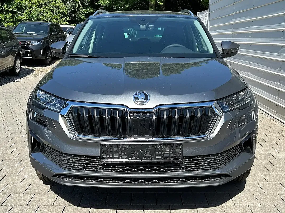 Skoda Karoq - Thumbnail 2