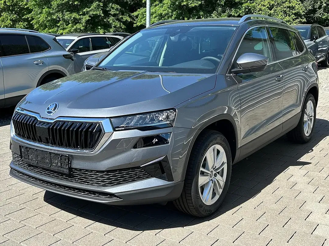 Skoda Karoq - Thumbnail 3