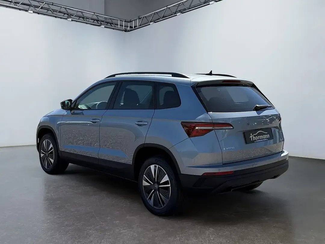 Skoda Karoq - Thumbnail 4