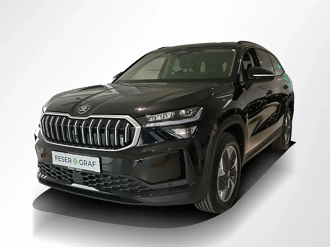Skoda Kodiaq - Thumbnail 11