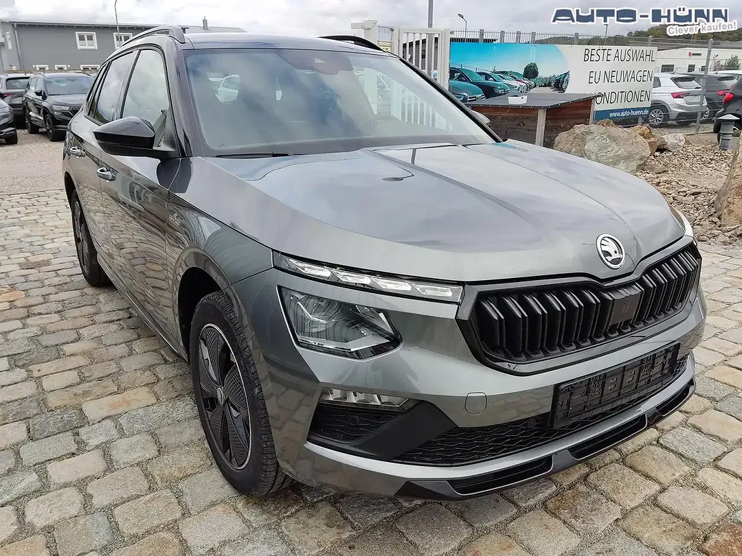 Skoda Kamiq - Thumbnail 3
