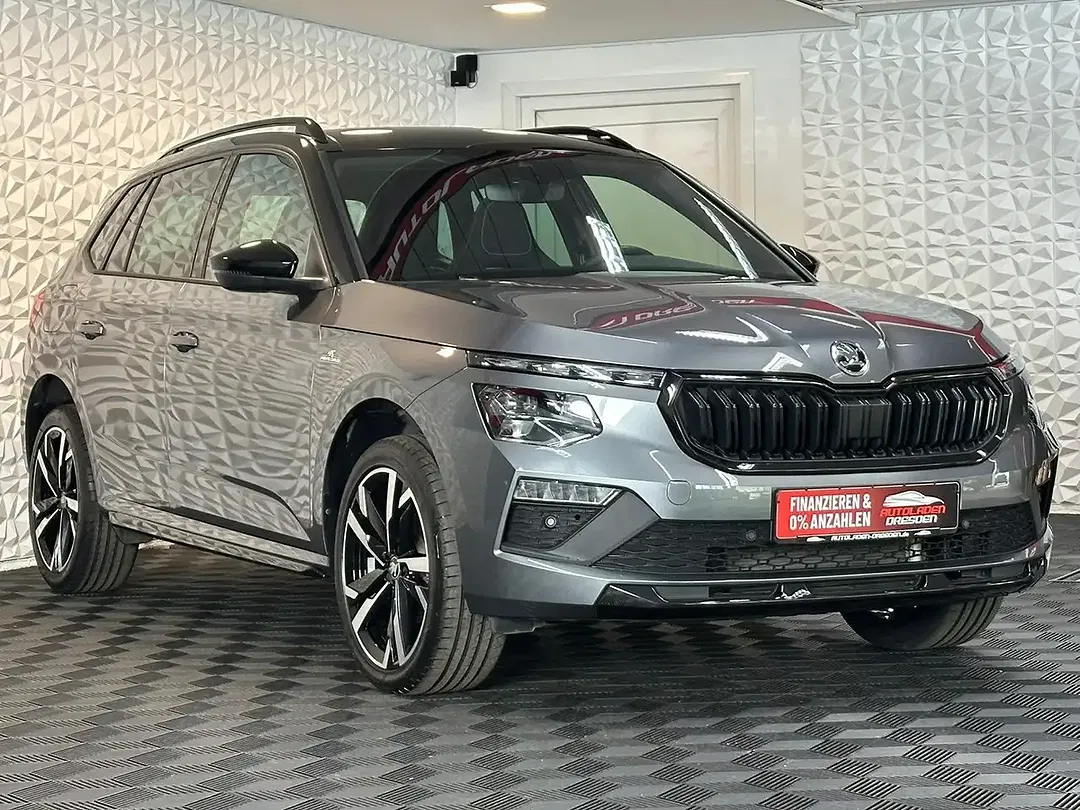 Skoda Kamiq - Thumbnail 2
