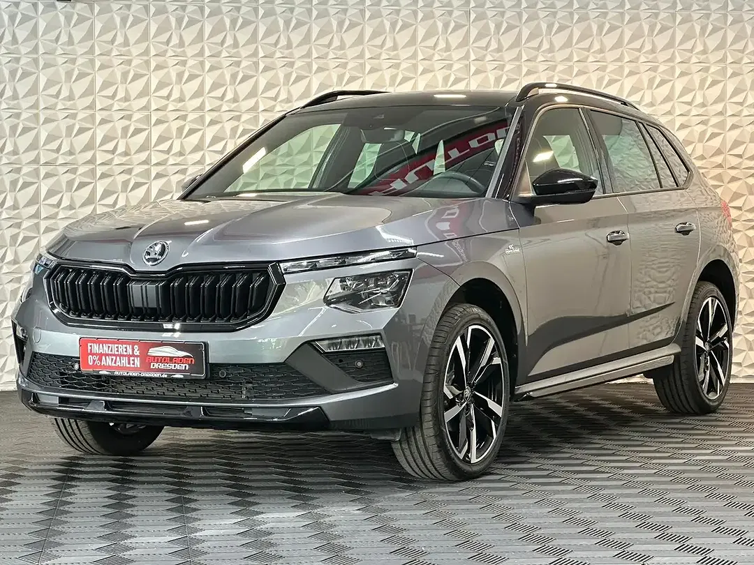 Skoda Kamiq - Thumbnail 4