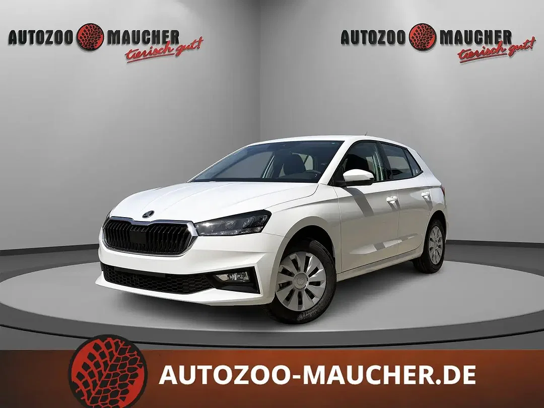 Skoda Fabia - Afbeelding 1