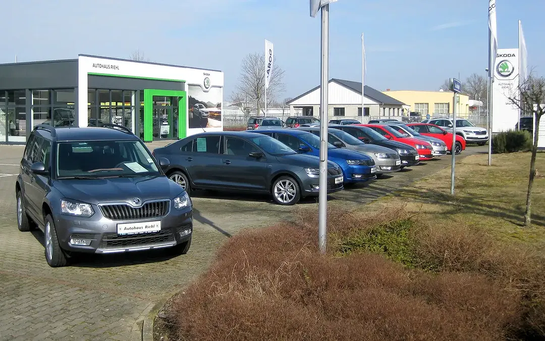 Skoda Kamiq - Thumbnail 20