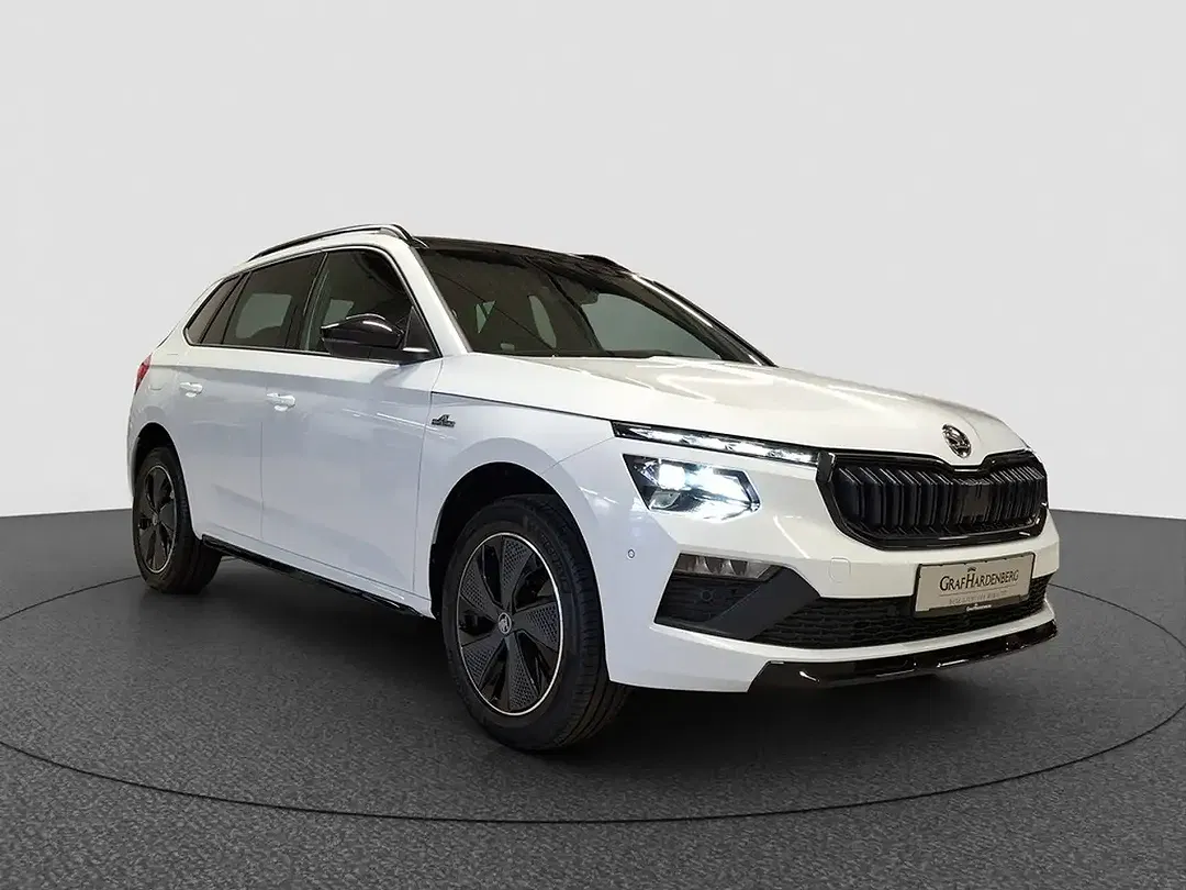 Skoda Kamiq - Thumbnail 7