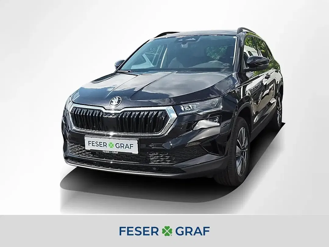 Skoda Karoq - Thumbnail 1