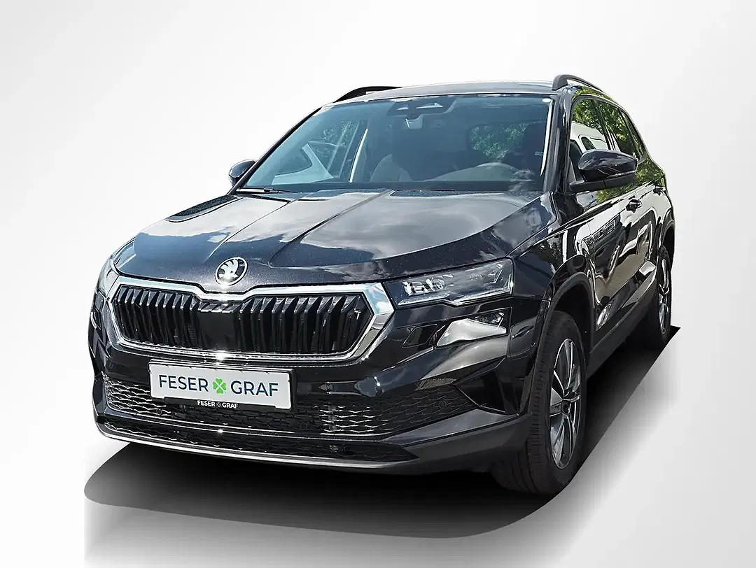 Skoda Karoq - Thumbnail 11