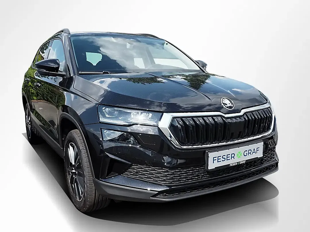 Skoda Karoq - Thumbnail 2