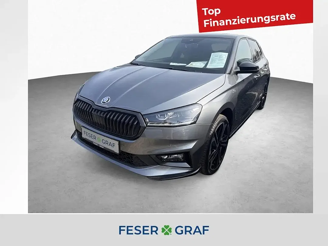 Skoda Fabia - Afbeelding 1