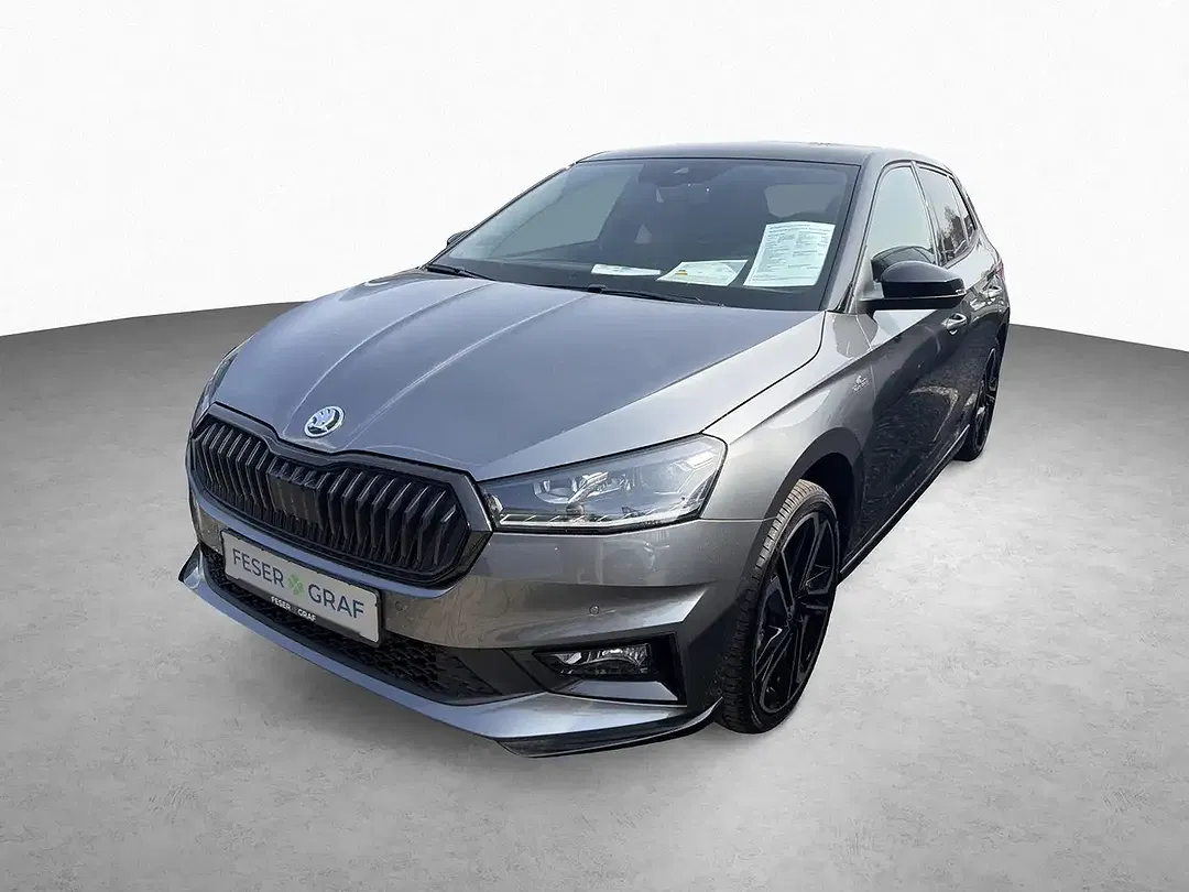 Skoda Fabia - Thumbnail 11