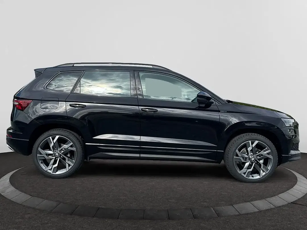 Skoda Karoq - Thumbnail 6