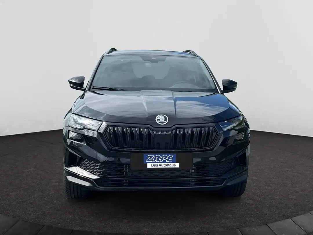 Skoda Karoq - Thumbnail 8