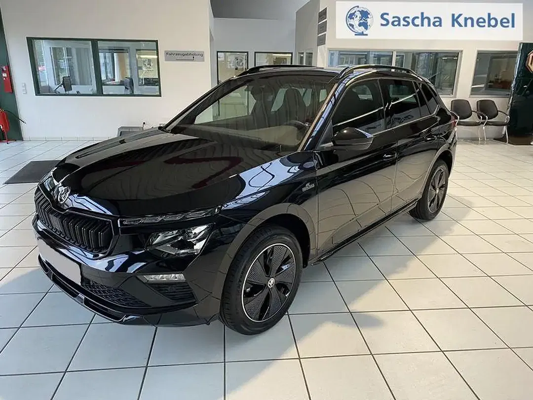 Skoda Kamiq - Thumbnail 11