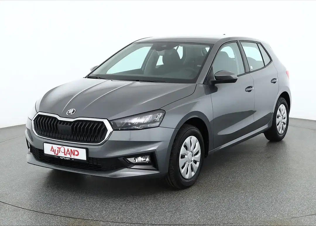 Skoda Fabia - Thumbnail 1