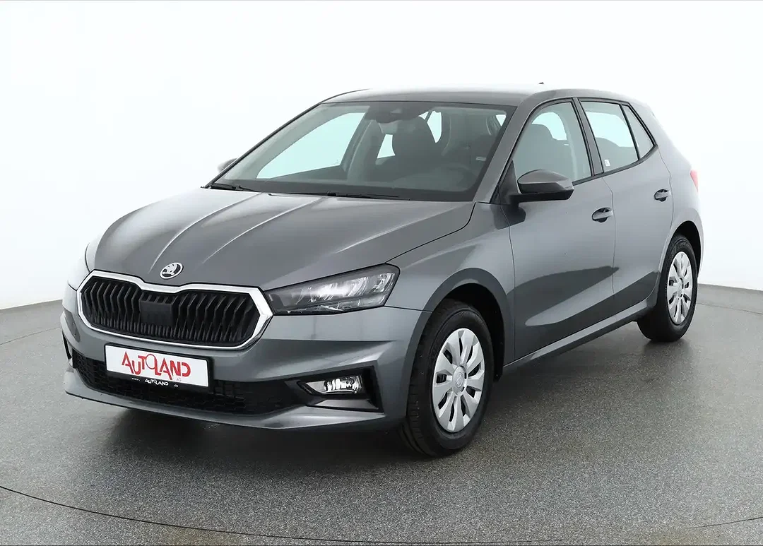 Skoda Fabia - Afbeelding 1