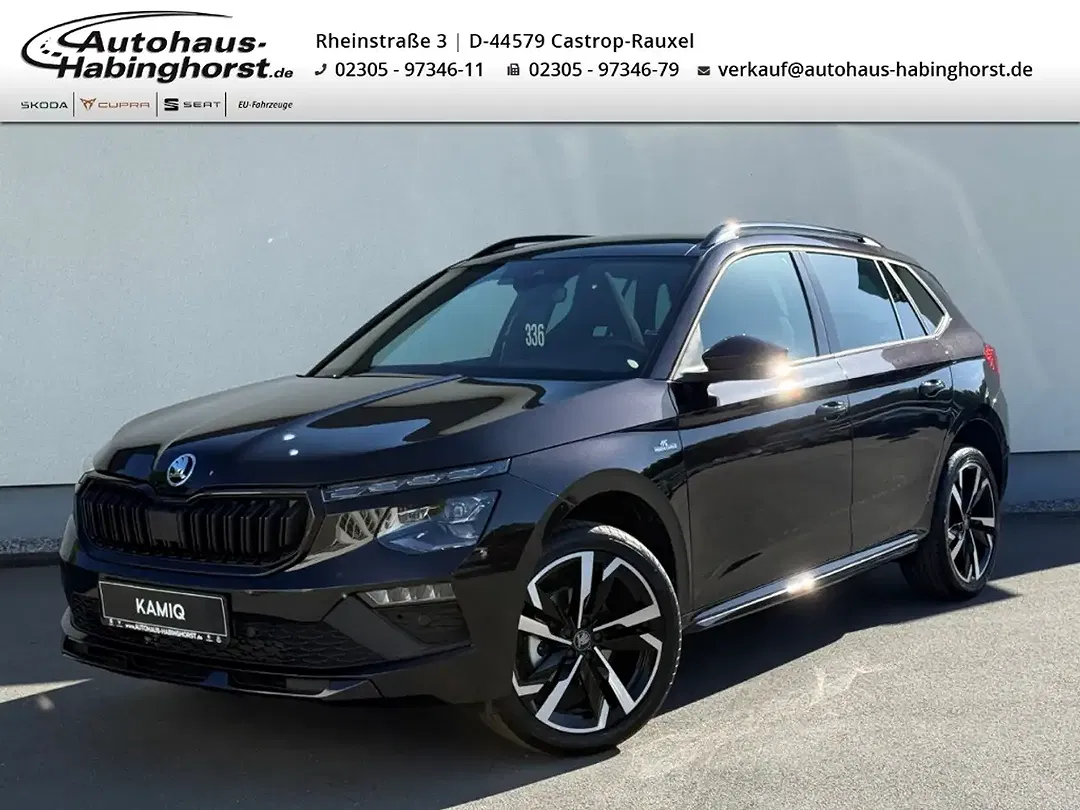 Skoda Kamiq - Thumbnail 1