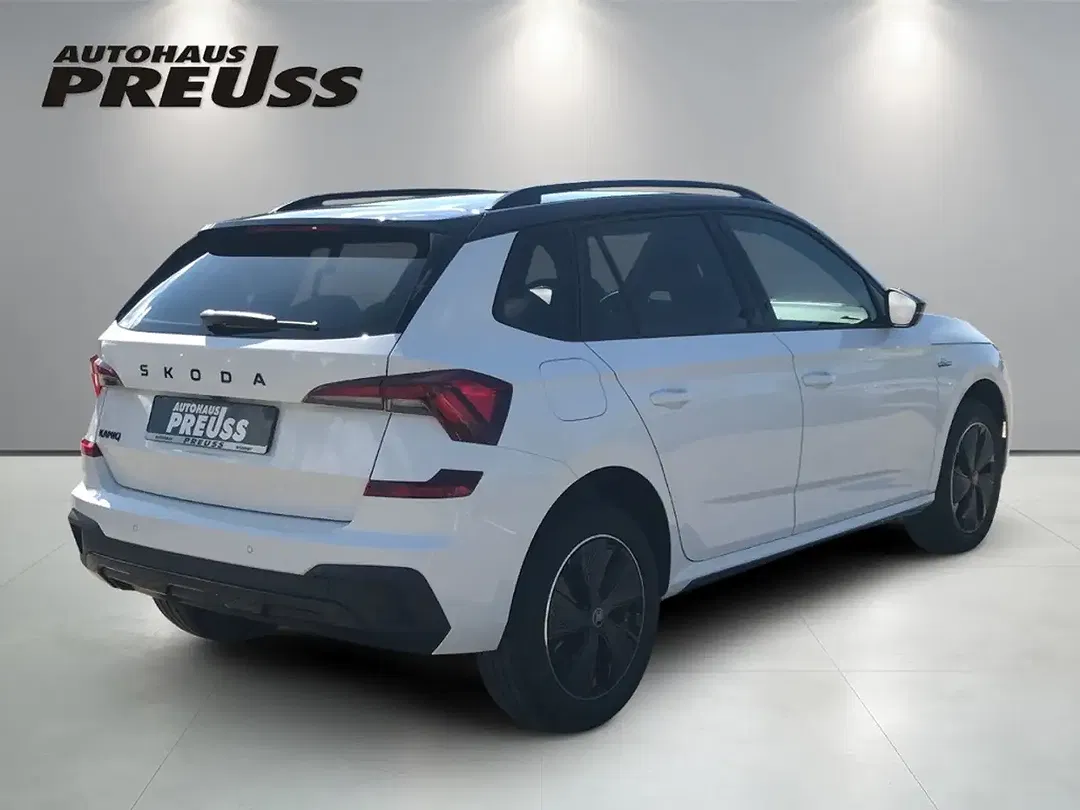 Skoda Kamiq - Thumbnail 4