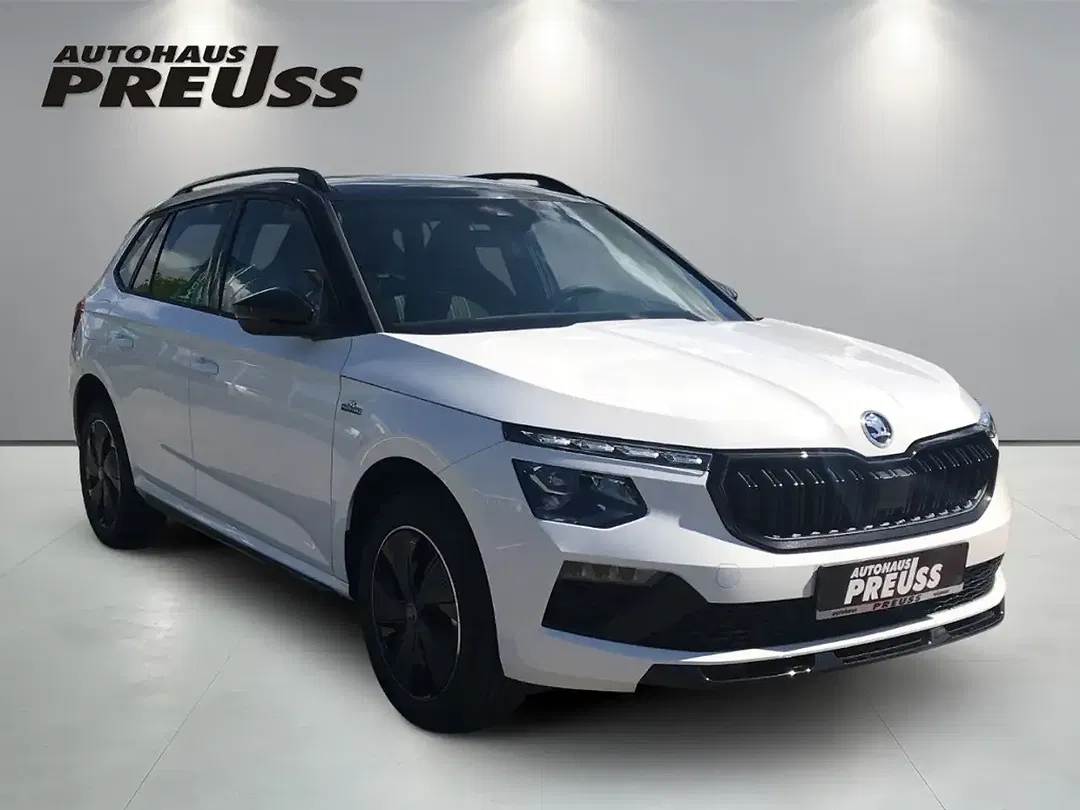 Skoda Kamiq - Thumbnail 6