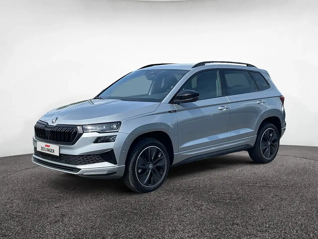 Skoda Karoq - Thumbnail 1
