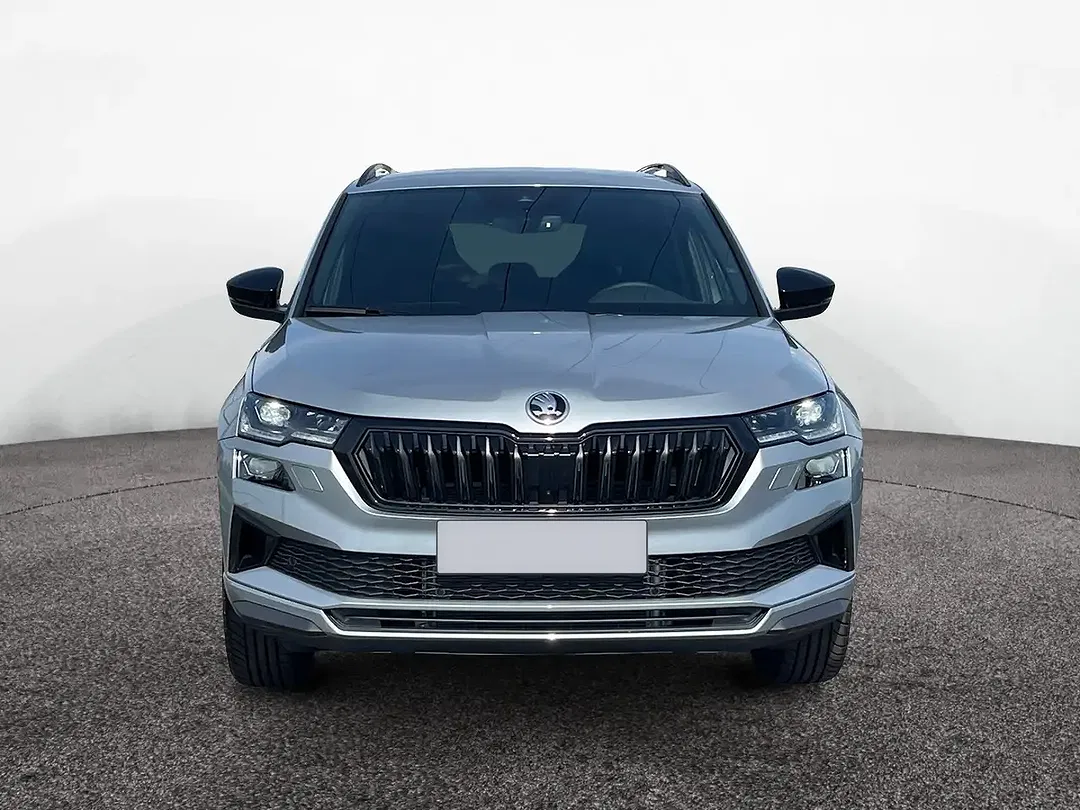 Skoda Karoq - Thumbnail 2