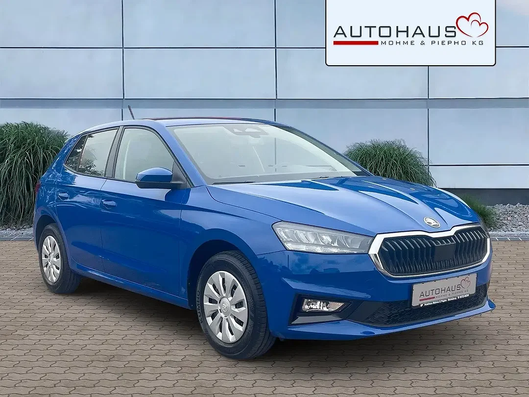 Skoda Fabia - Afbeelding 1