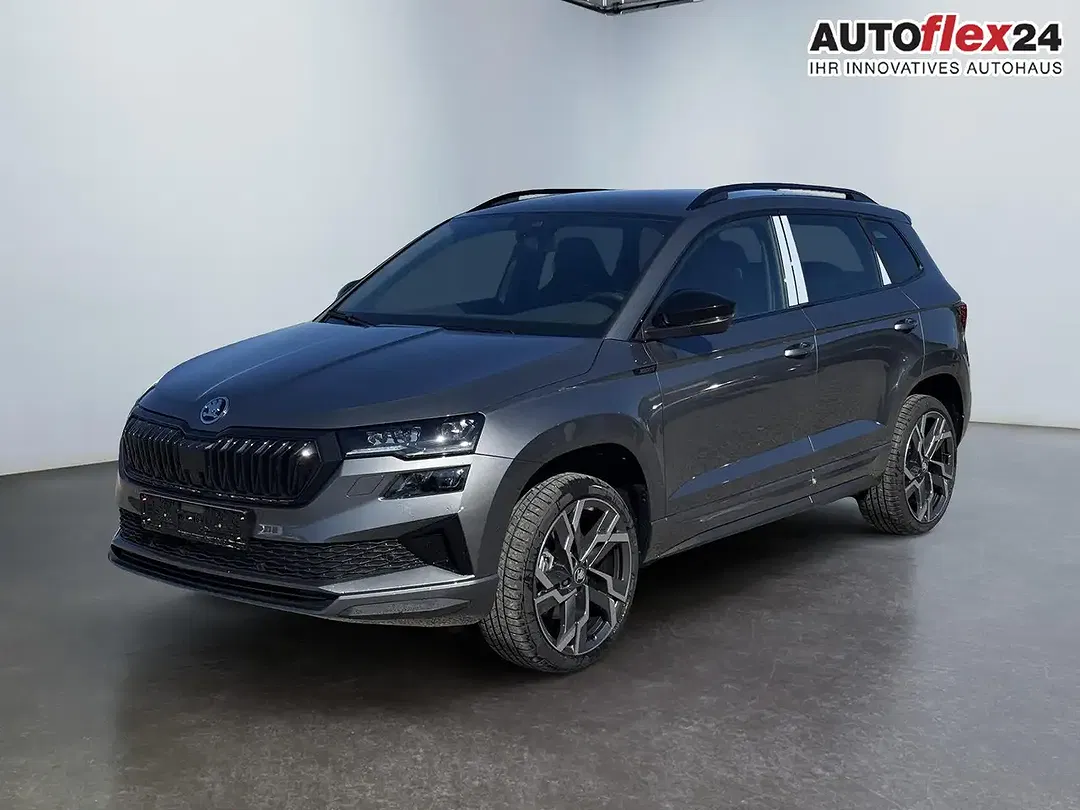 Skoda Karoq - Thumbnail 3
