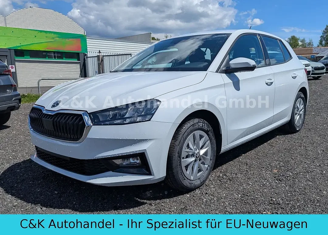 Skoda Fabia - Afbeelding 1