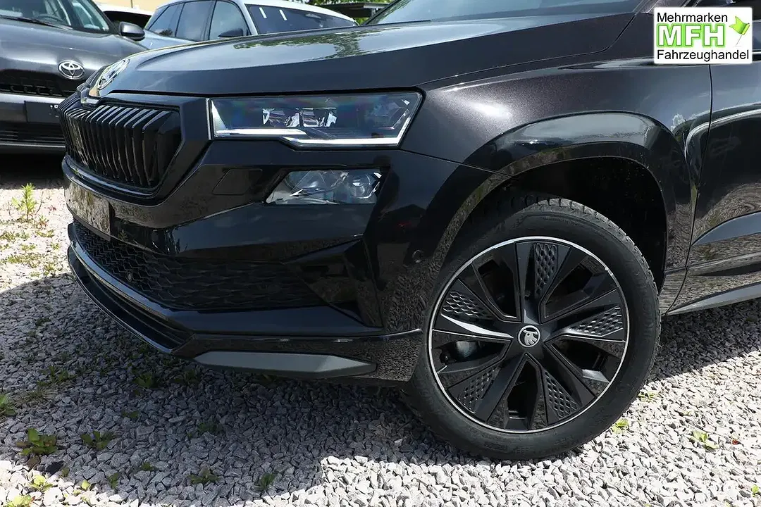 Skoda Karoq - Thumbnail 4