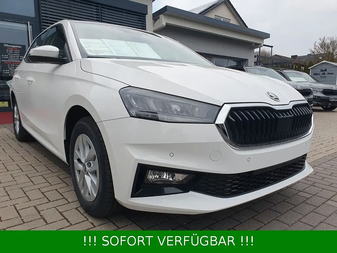 Skoda Fabia - Afbeelding 1