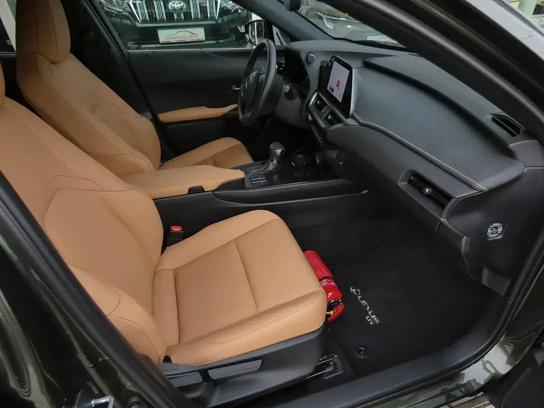 Lexus UX 250h - Thumbnail 9