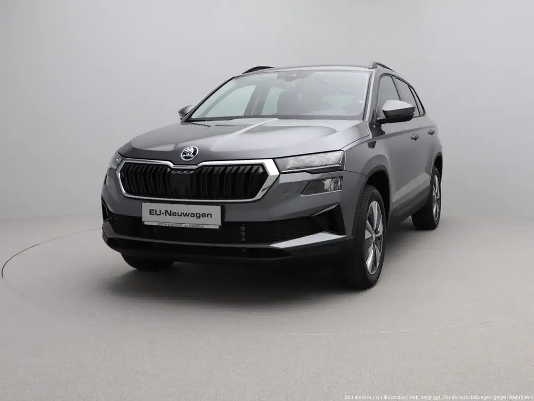 Skoda Karoq - Thumbnail 3