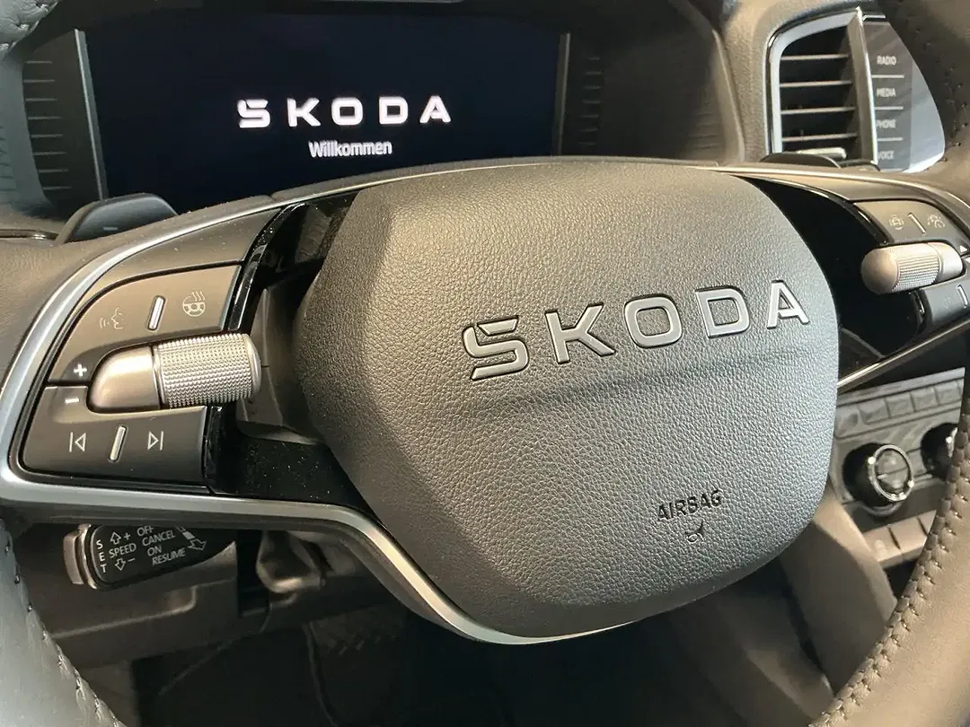 Skoda Karoq - Thumbnail 15