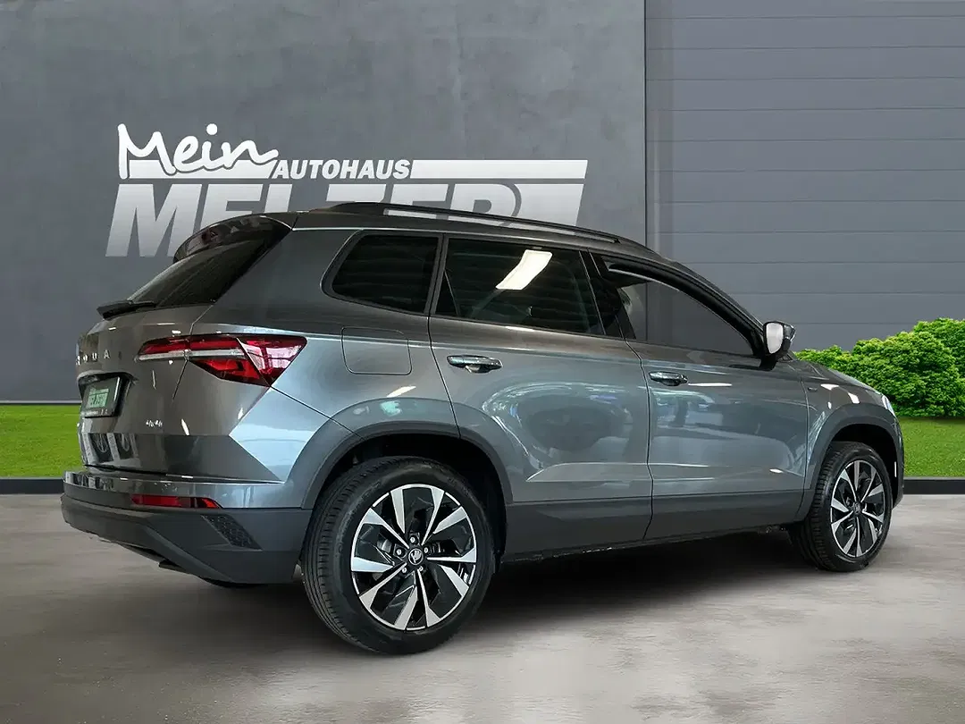 Skoda Karoq - Thumbnail 3