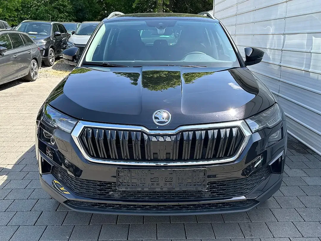 Skoda Karoq - Thumbnail 2