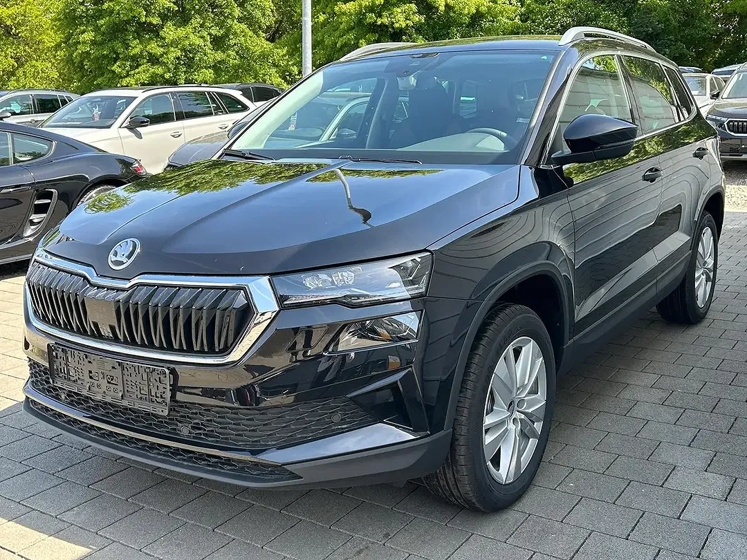 Skoda Karoq - Thumbnail 3