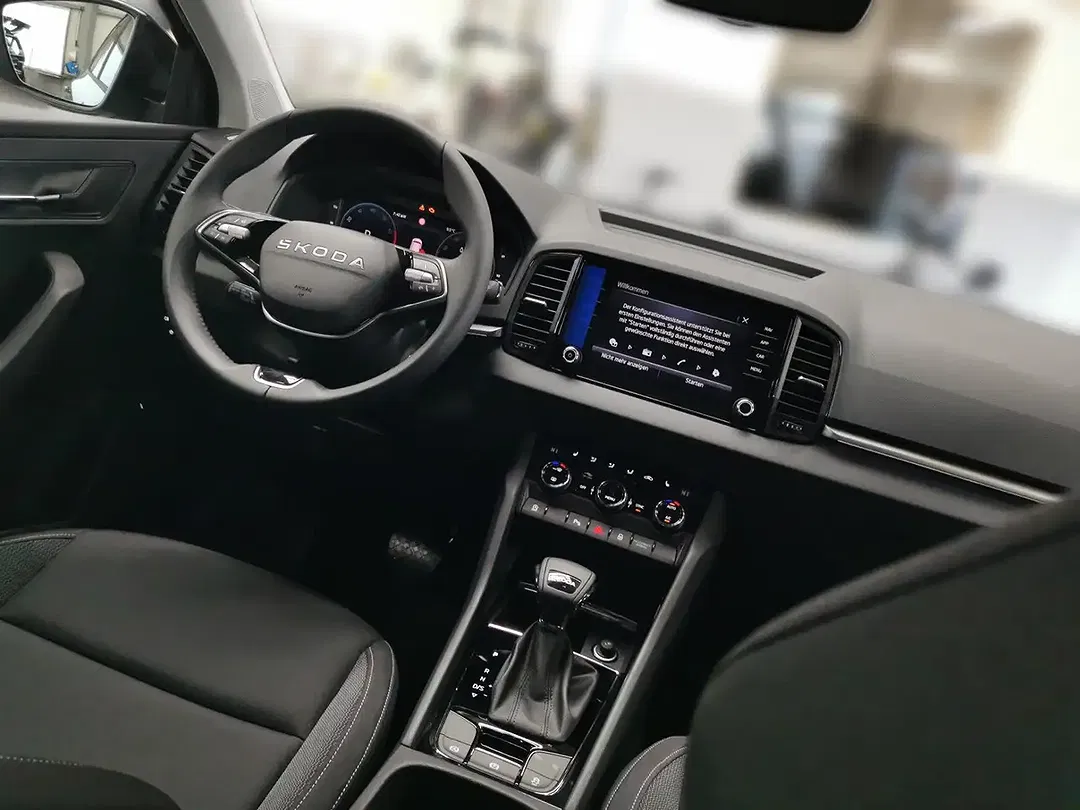 Skoda Karoq - Thumbnail 8