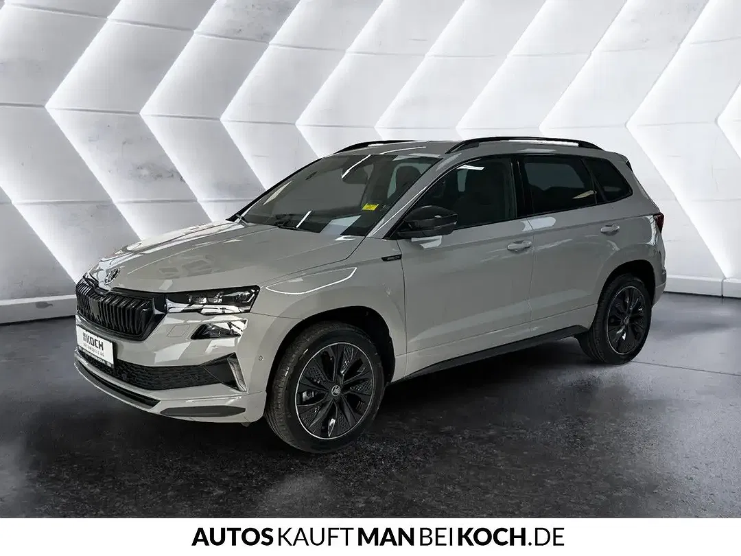Skoda Karoq - Thumbnail 1