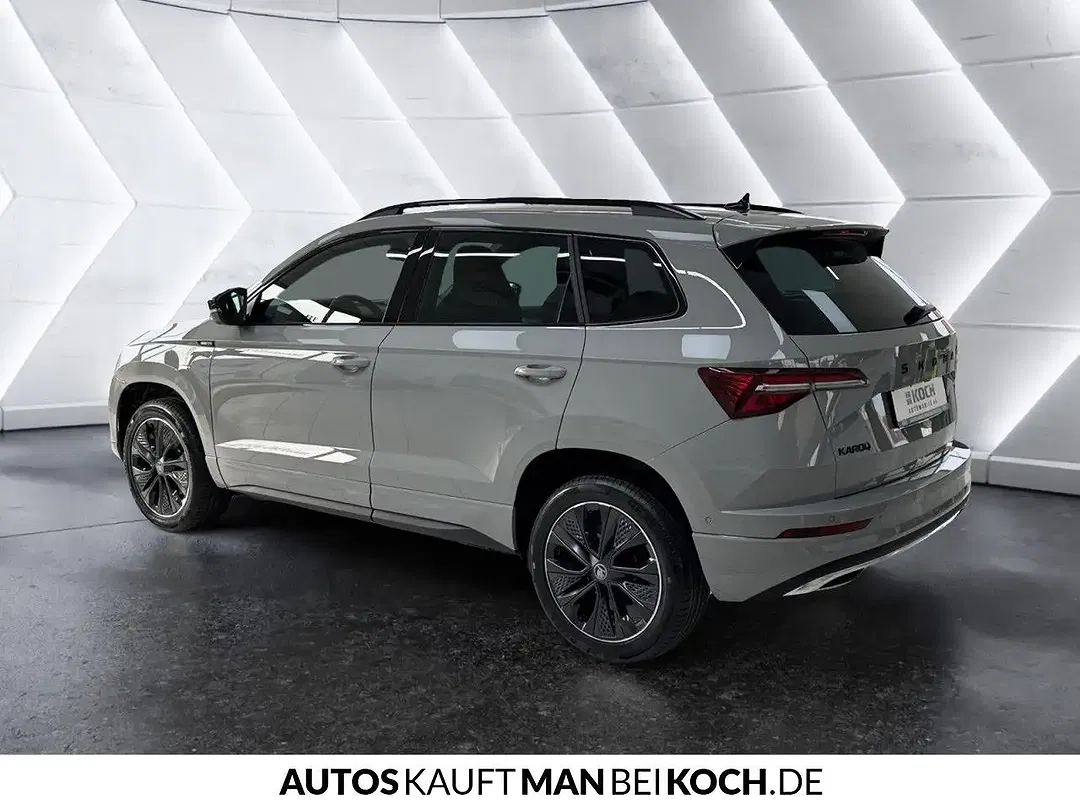 Skoda Karoq - Thumbnail 2