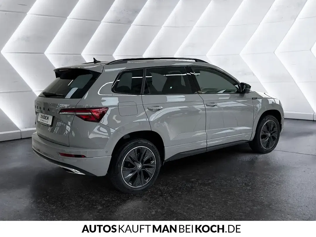 Skoda Karoq - Thumbnail 3