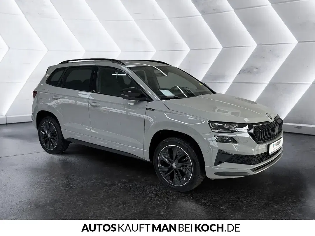 Skoda Karoq - Thumbnail 4
