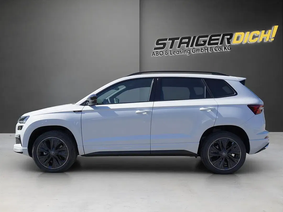 Skoda Karoq - Thumbnail 2