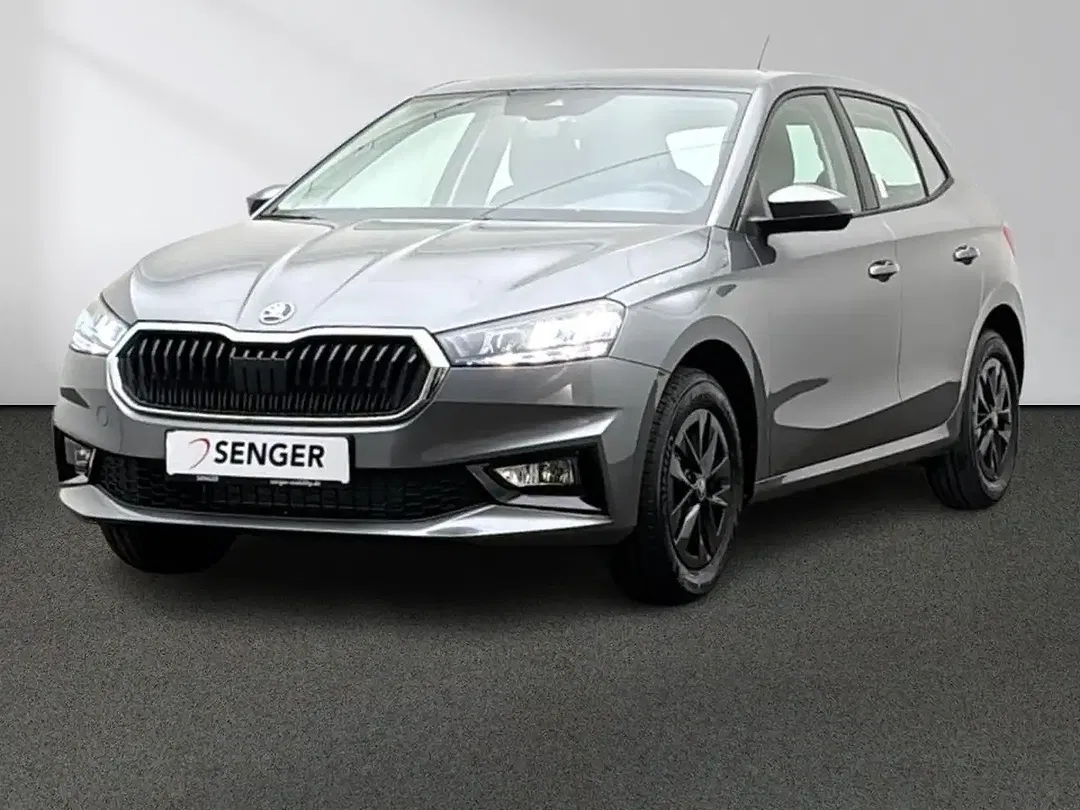 Skoda Fabia - Thumbnail 13