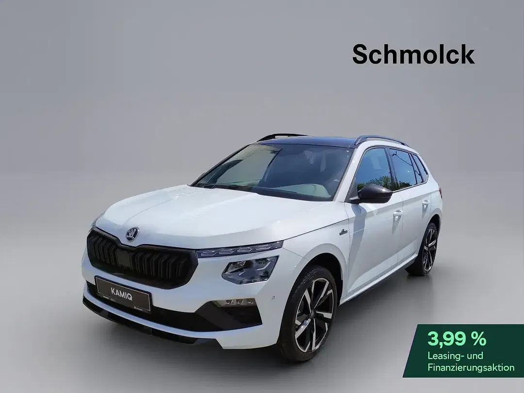 Skoda Kamiq - Thumbnail 1