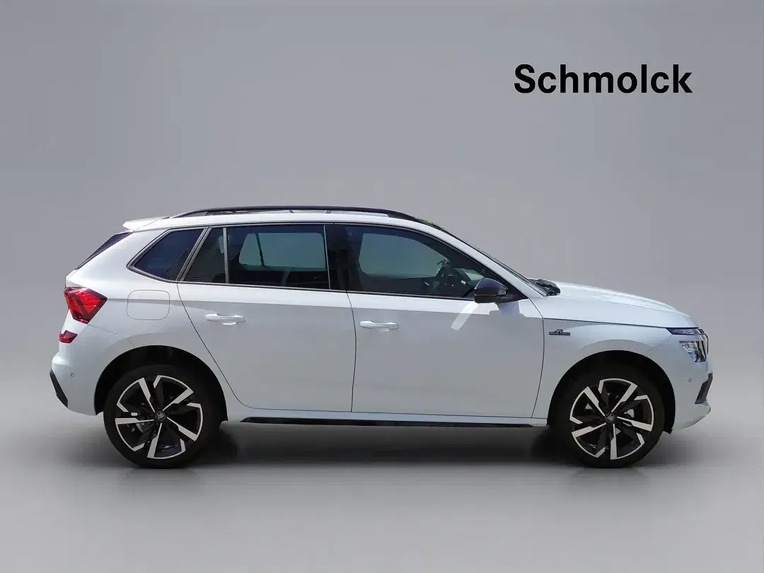 Skoda Kamiq - Thumbnail 3