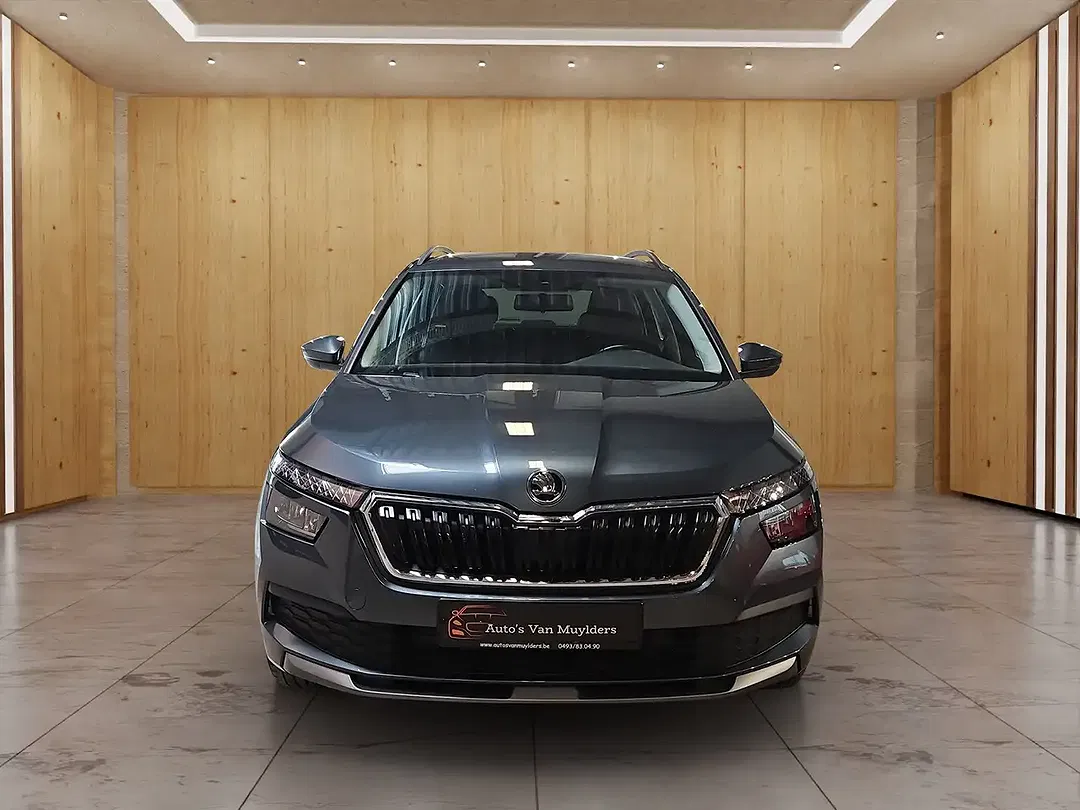 Skoda Kamiq - Thumbnail 2